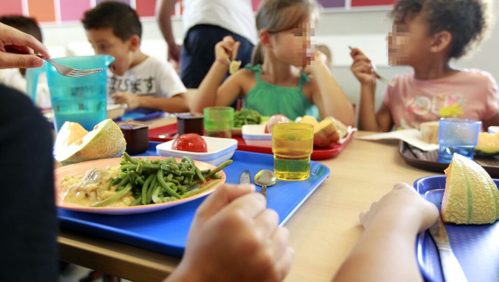 Les Cantines des Écoles Publiques de Montpellier : Nourrissant l'Avenir de nos Élèves
